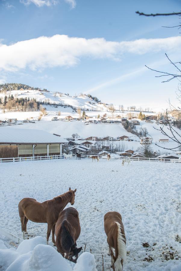 Hotel & Alpin Lodge Der Wastlhof Niederau Dış mekan fotoğraf